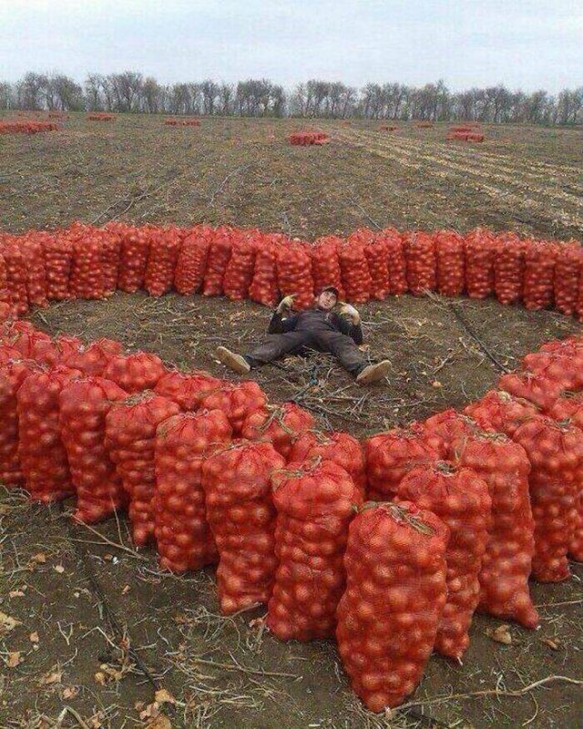 What Is Going On Here? (24 pics)