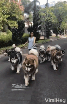 What Will You Do If All People Disappear? (19 gifs) What Will You Do If All People Disappear? (19 gifs)