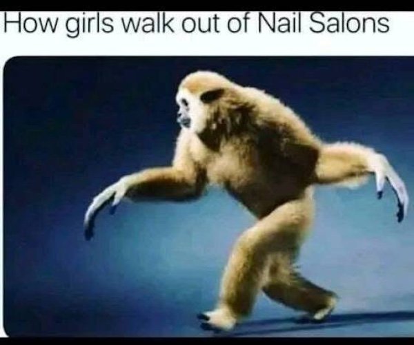 Truthful Memes (38 pics)