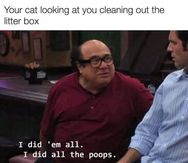 Truthful Memes (38 pics)