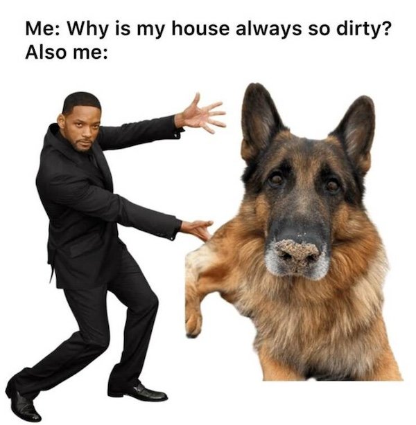 Truthful Memes (38 pics)