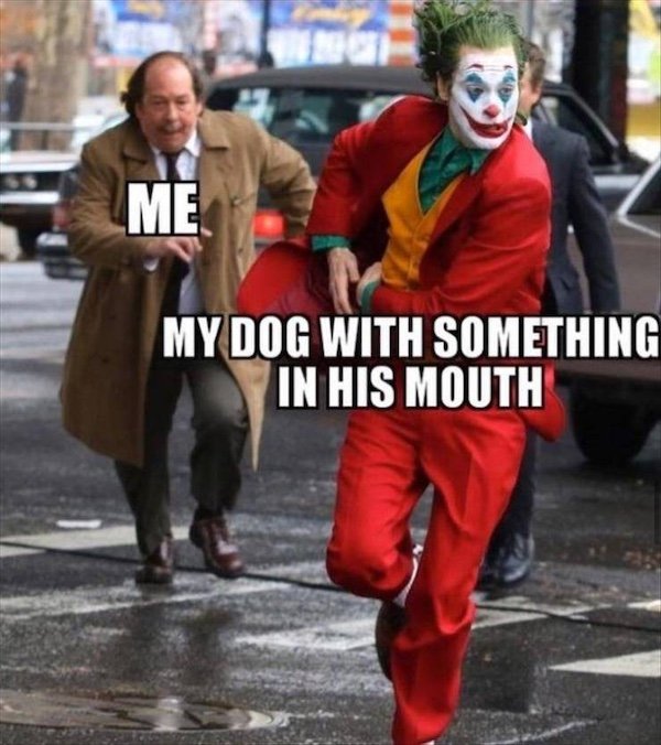 Truthful Memes (38 pics)