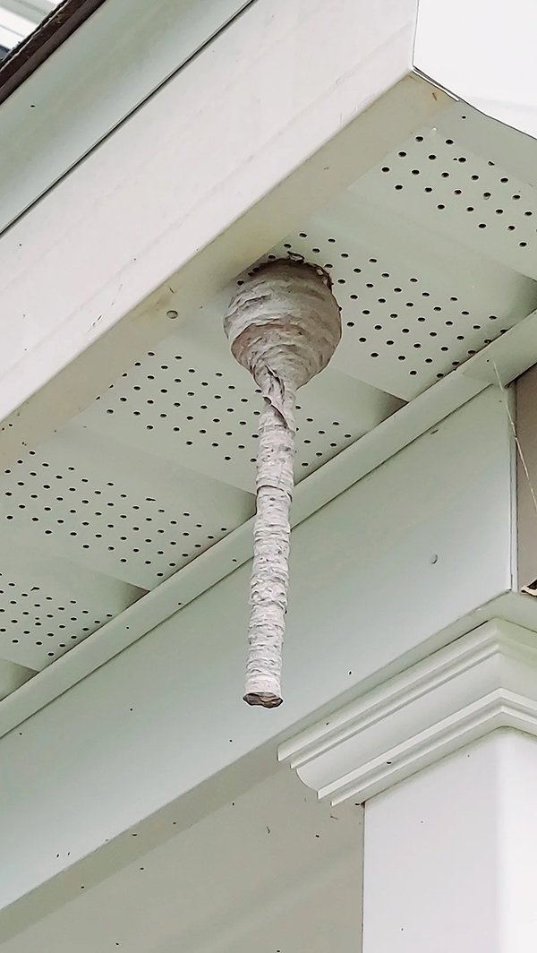 Interesting Finds (23 pics)
