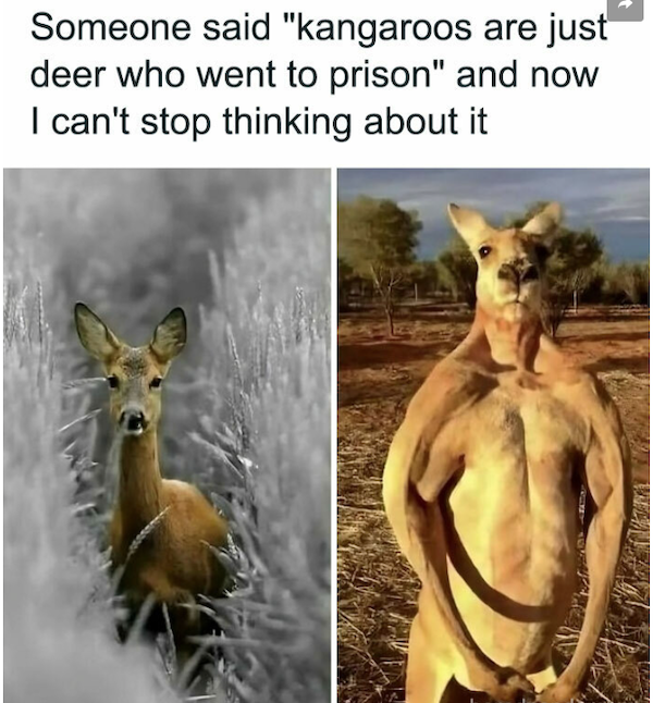 Truthful Memes (38 pics)
