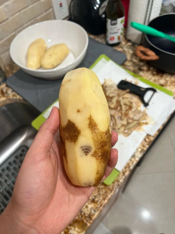 Interesting Finds (23 pics)