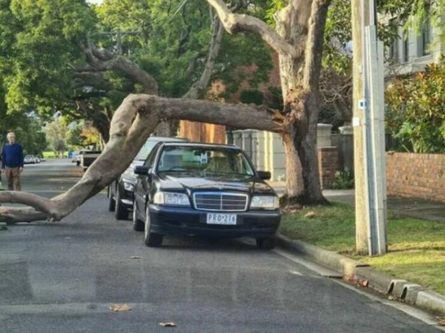 Lucky People (35 pics)