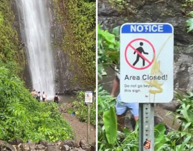 Annoying Tourists (20 pics)