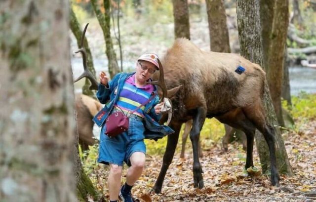Annoying Tourists (20 pics)