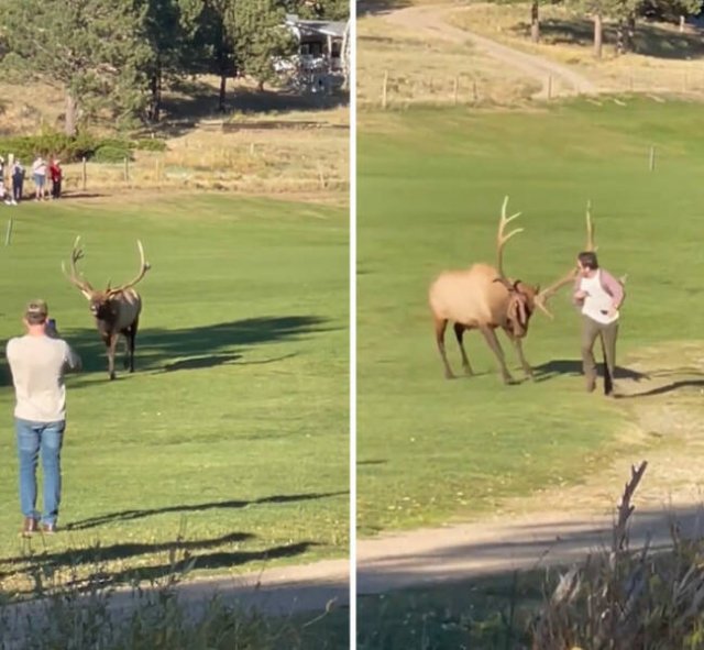 Annoying Tourists (20 pics)