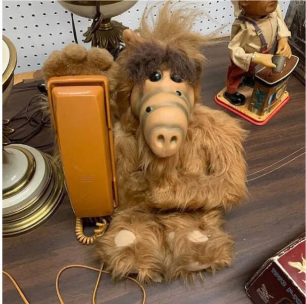 Weird Finds In Thrift Shops (23 pics)