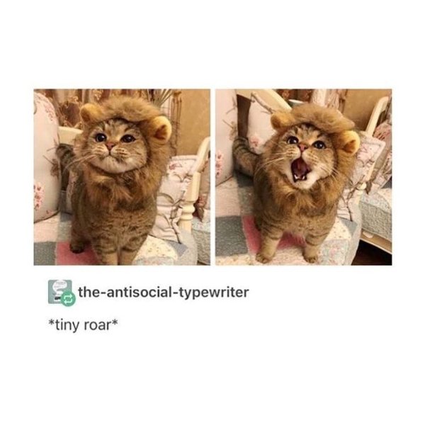 Hilarious Jokes For Good Mood (24 pics)