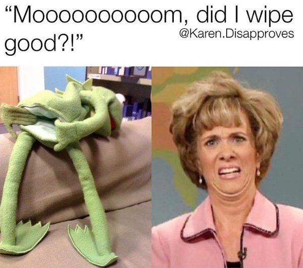 Parenting Memes (19 pics)