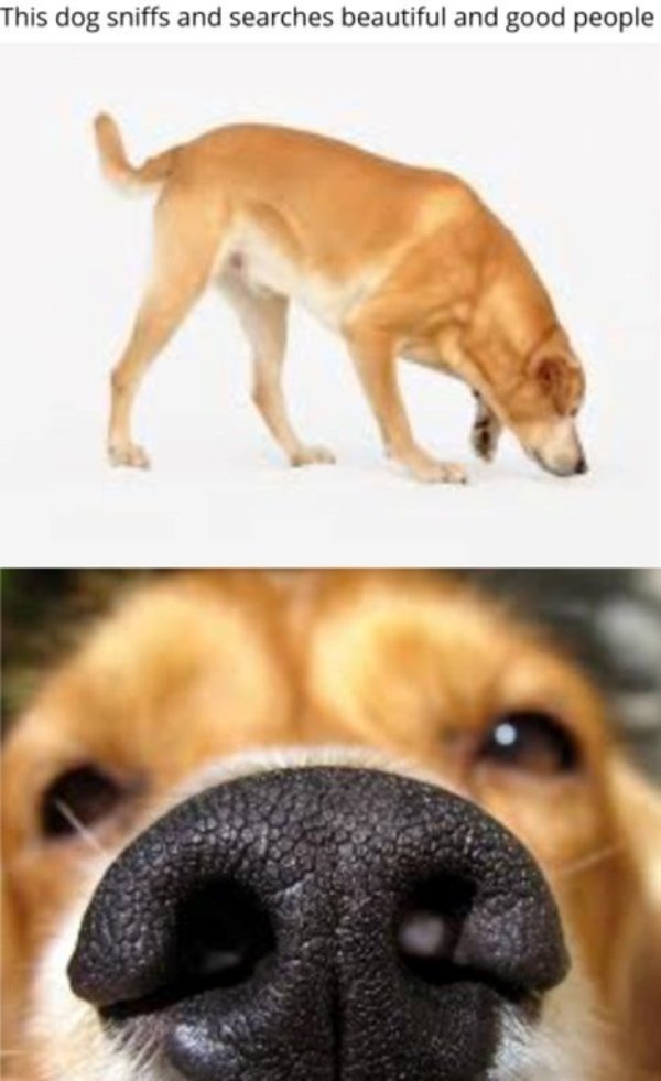 Hilarious Jokes For Good Mood (24 pics)