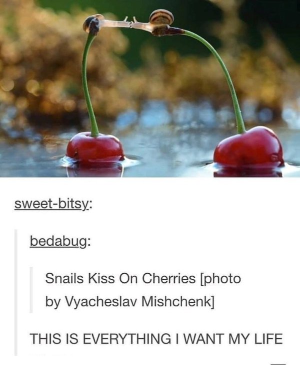 Hilarious Jokes For Good Mood (24 pics)