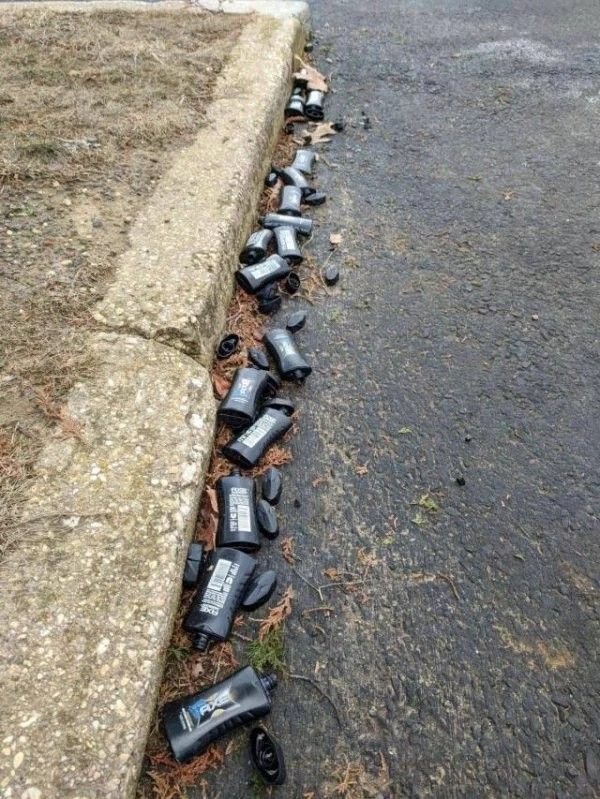 What Is Going On Here? (24 pics)