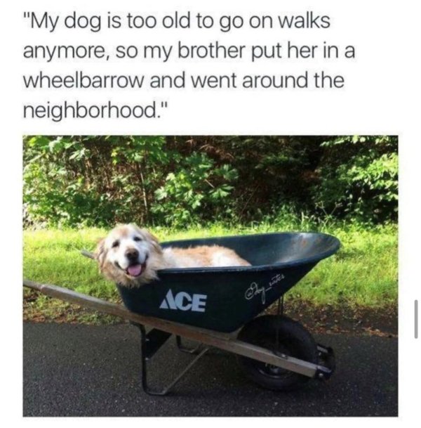 Hilarious Jokes For Good Mood (24 pics)