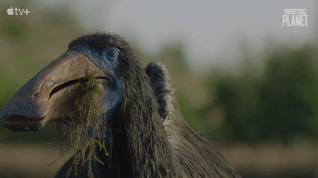 Random Facts (14 gifs) Random Facts (14 gifs)