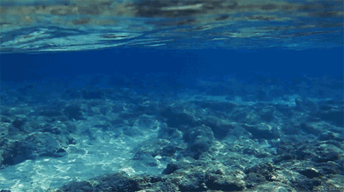 Random Facts (14 gifs) Random Facts (14 gifs)