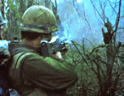Random Facts (14 gifs) Random Facts (14 gifs)