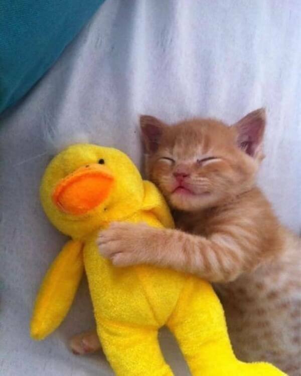 Posts And Photos For Good Mood (14 pics)