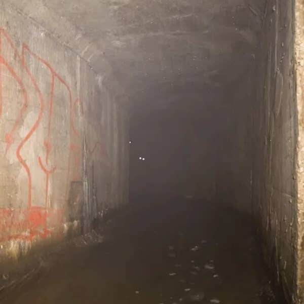 Creepy Photos (16 pics)