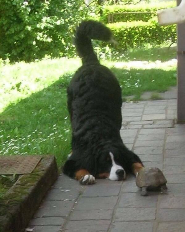 Posts And Photos For Good Mood (14 pics)