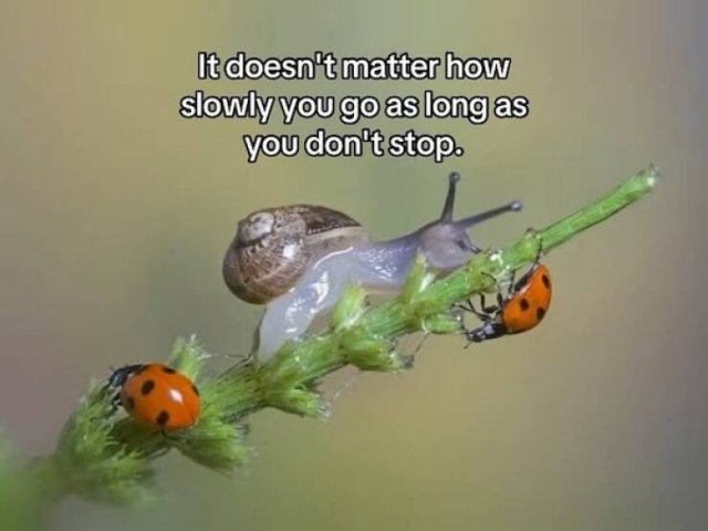 Posts And Photos For Good Mood (14 pics)