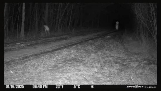 Creepy Photos (16 pics)