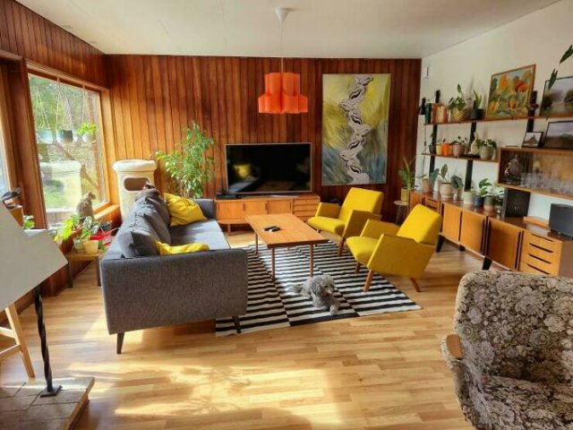Vintage Interior Items (25 pics)
