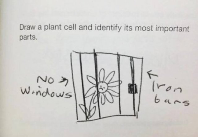 Funny Kids Inscriptions (17 pics)