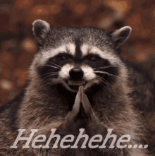 Strange Human Habits (18 gifs) Strange Human Habits (18 gifs)