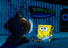 Strange Human Habits (18 gifs) Strange Human Habits (18 gifs)