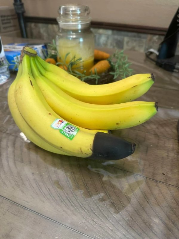 Interesting Finds (24 pics)