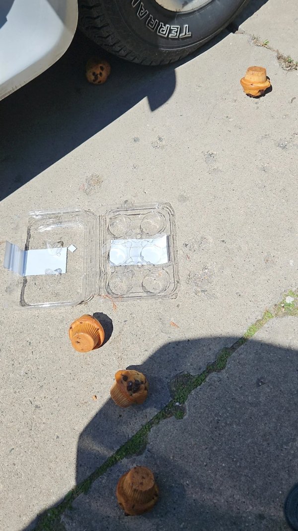 Bad Days Happen (23 pics)