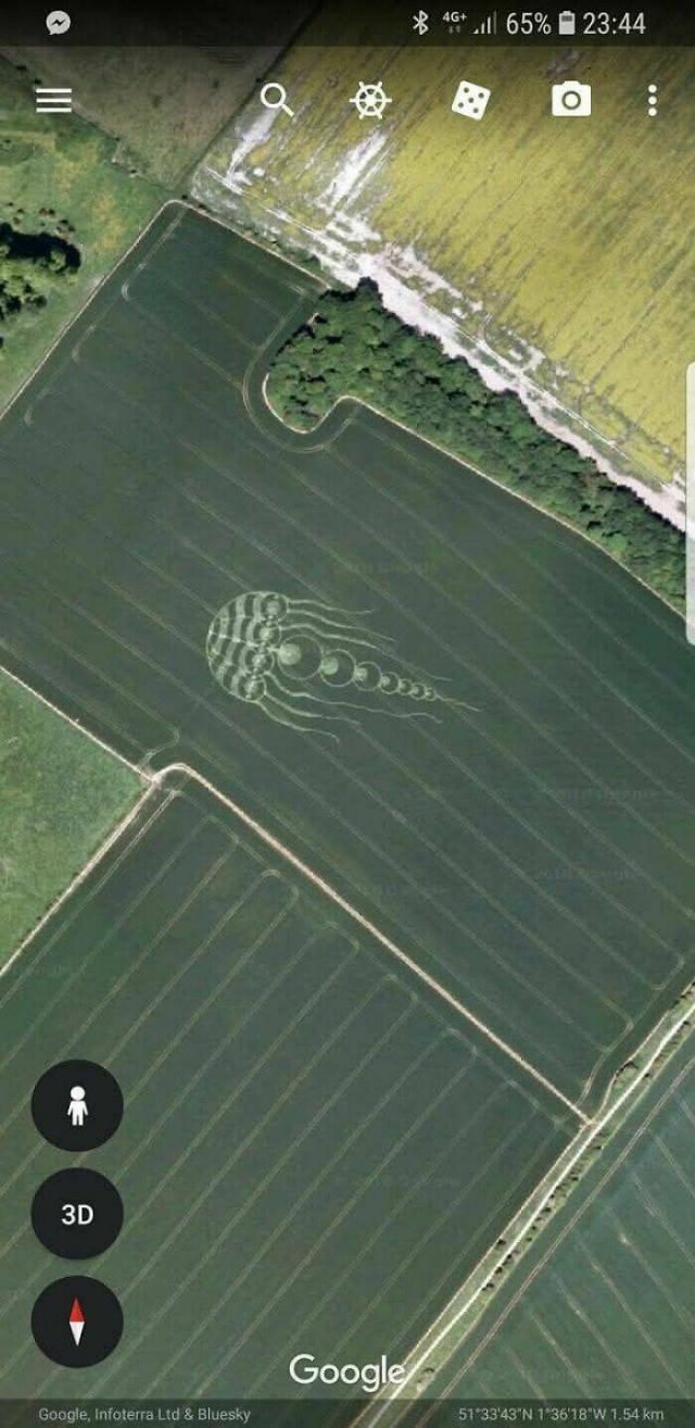 Unusual Finds On Google Maps (24 pics)