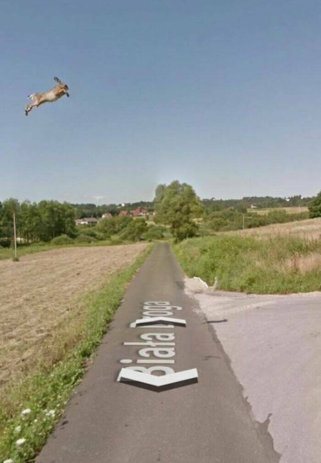 Unusual Finds On Google Maps (24 pics)