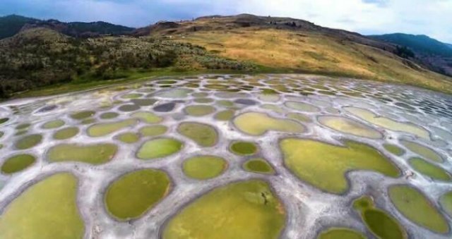 Unusual Finds On Google Maps (24 pics)