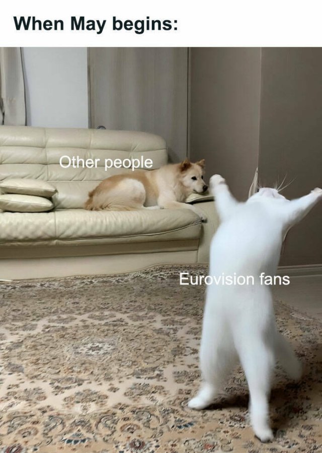 Memes About Eurovision (22 pics)