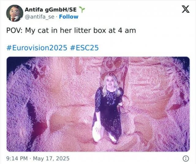 Memes About Eurovision (22 pics)