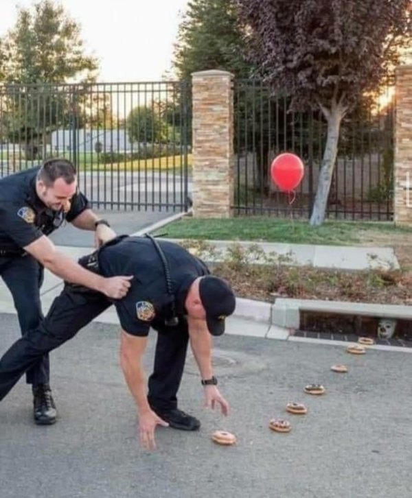 What Is Going On Here? (28 pics)