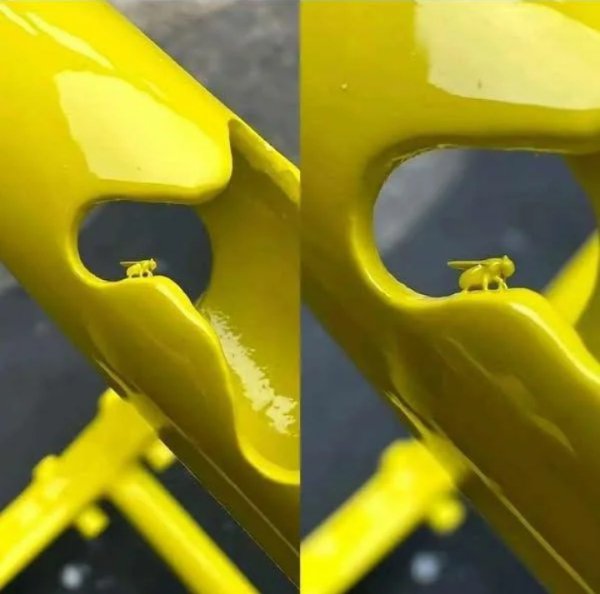 What Is Going On Here? (28 pics)
