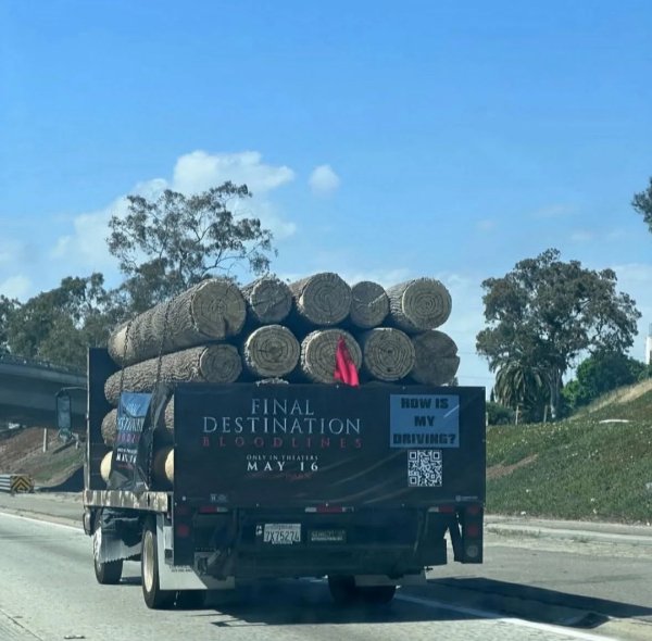 What Is Going On Here? (28 pics)