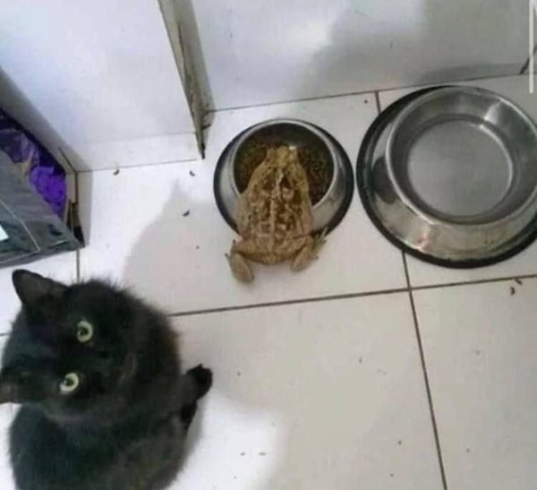 What Is Going On Here? (28 pics)