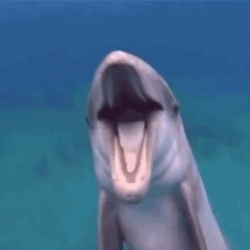 Random Facts (14 gifs) Random Facts (14 gifs)
