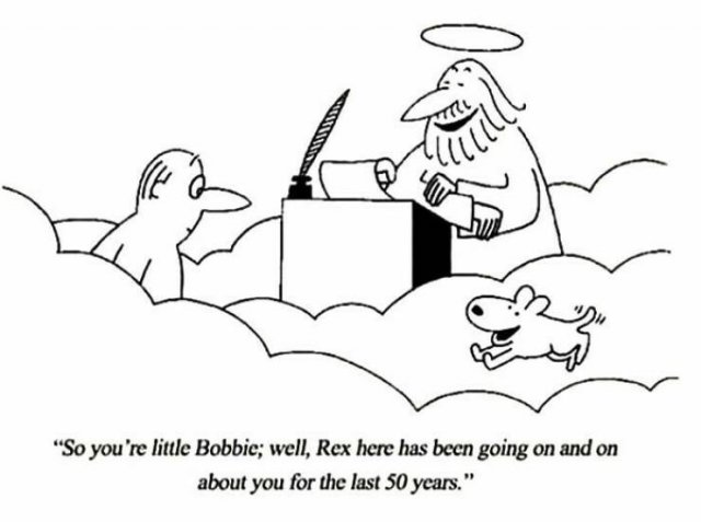 Jokes For Dogs Lovers (25 pics)