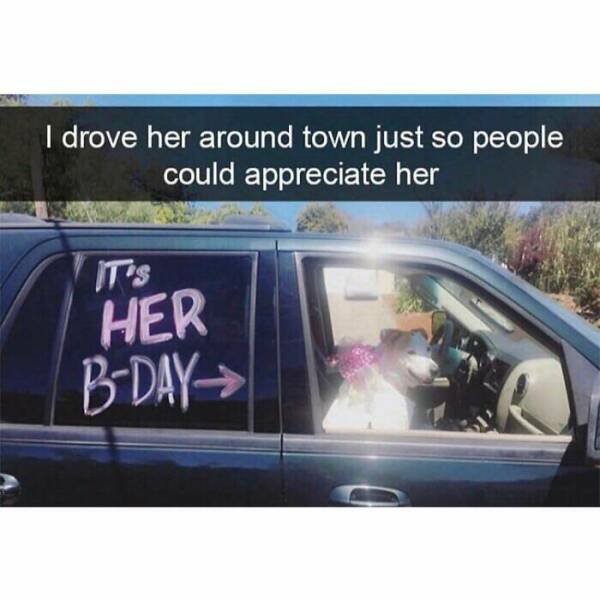 Jokes For Dogs Lovers (25 pics)