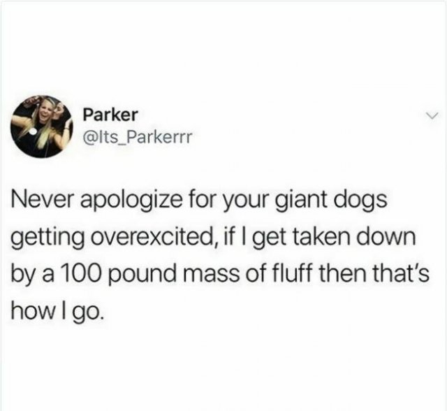 Jokes For Dogs Lovers (25 pics)