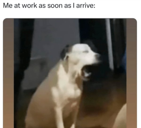 Memes About Adulting (24 pics)