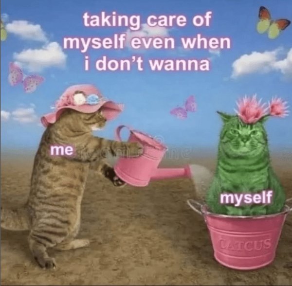 Memes About Adulting (24 pics)