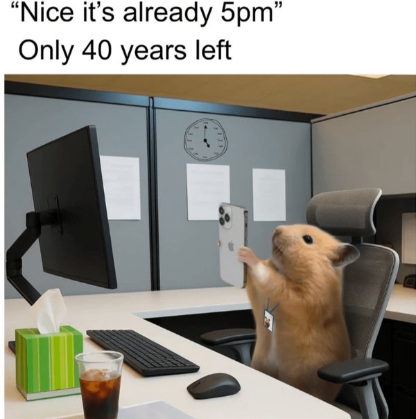 Memes About Adulting (24 pics)